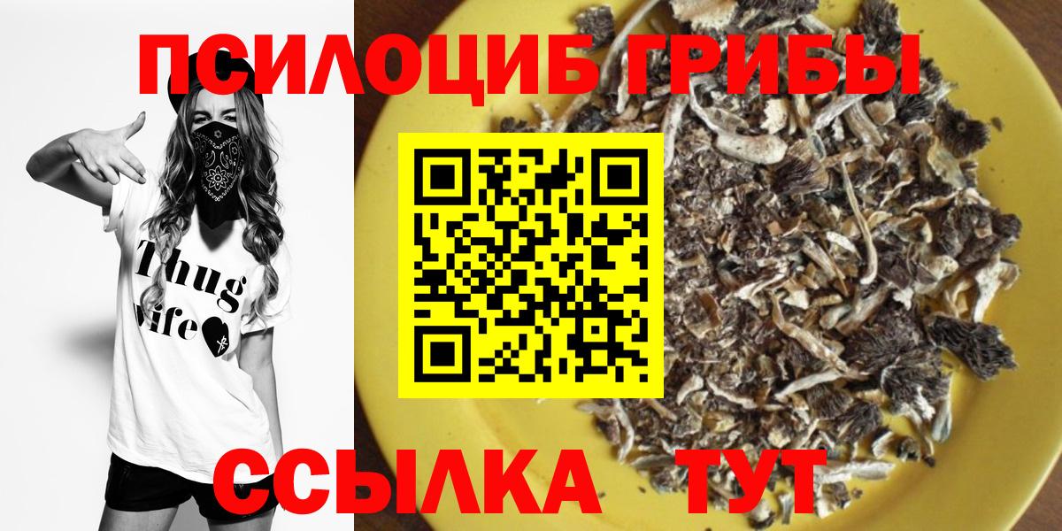 Псилоцибиновые грибы Psilocybe  Галлюциногенные грибы мухоморы  Королёв  Вход с VPN 